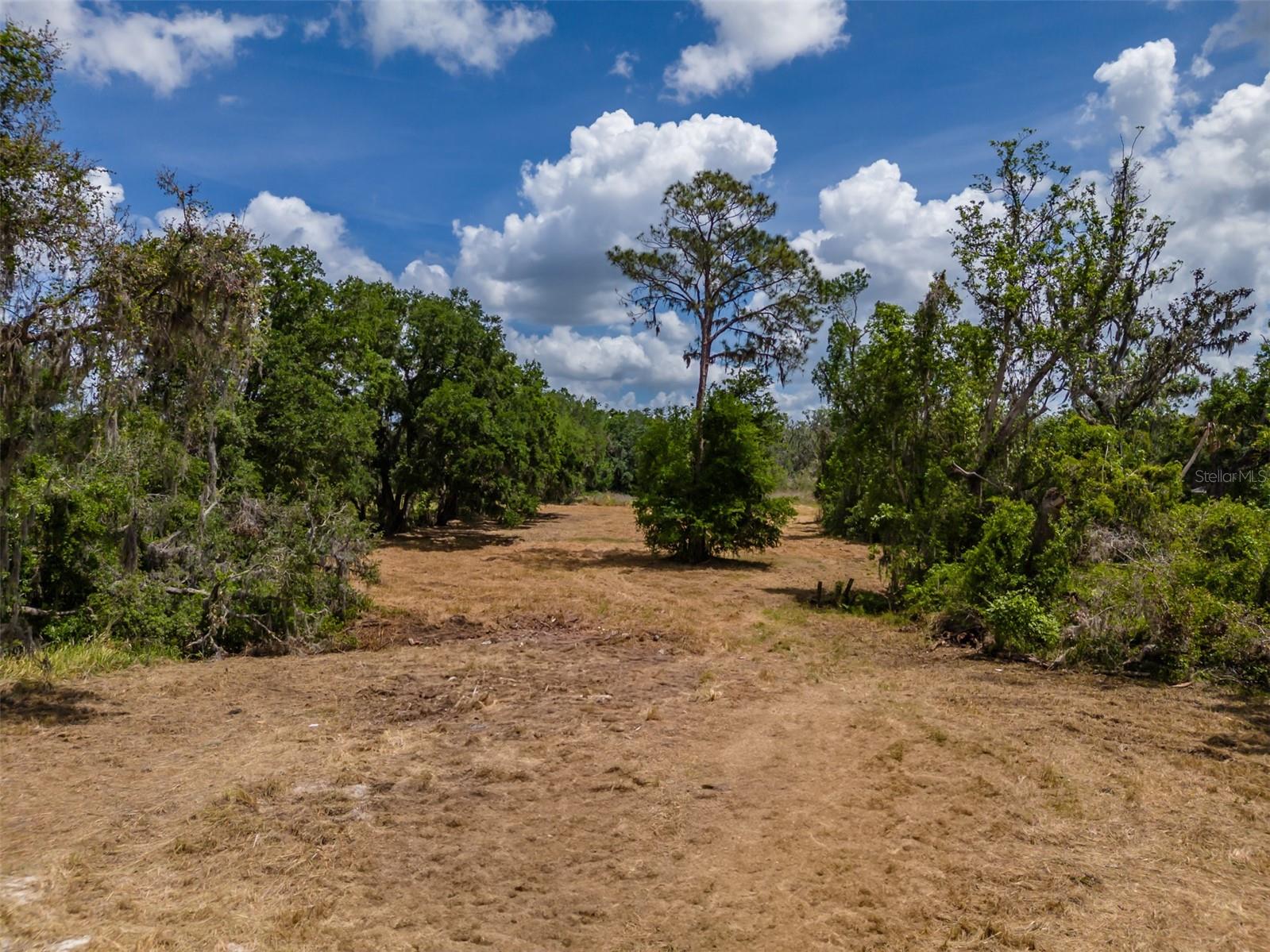 Image 9 of 18 For 5106 Bell Shoals Road