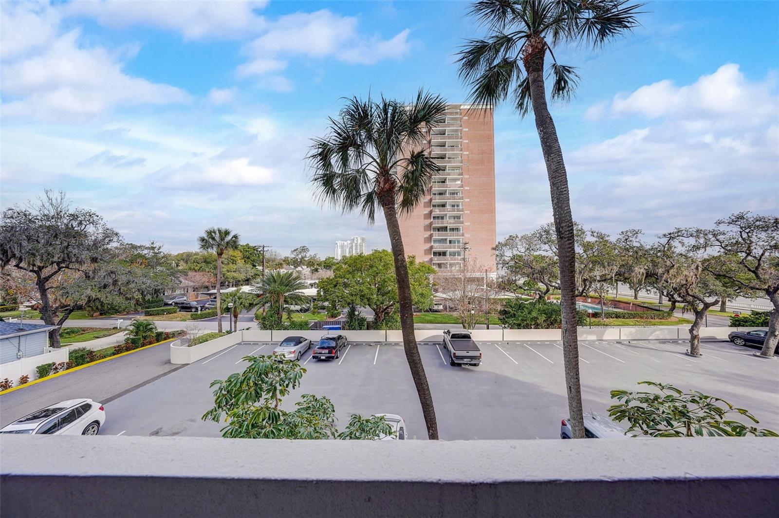Image 42 of 77 For 4141 Bayshore Boulevard 306