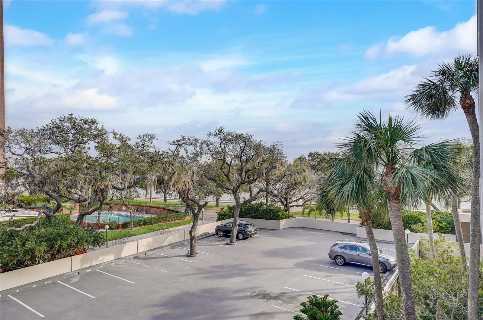 Image 50 of 77 For 4141 Bayshore Boulevard 306