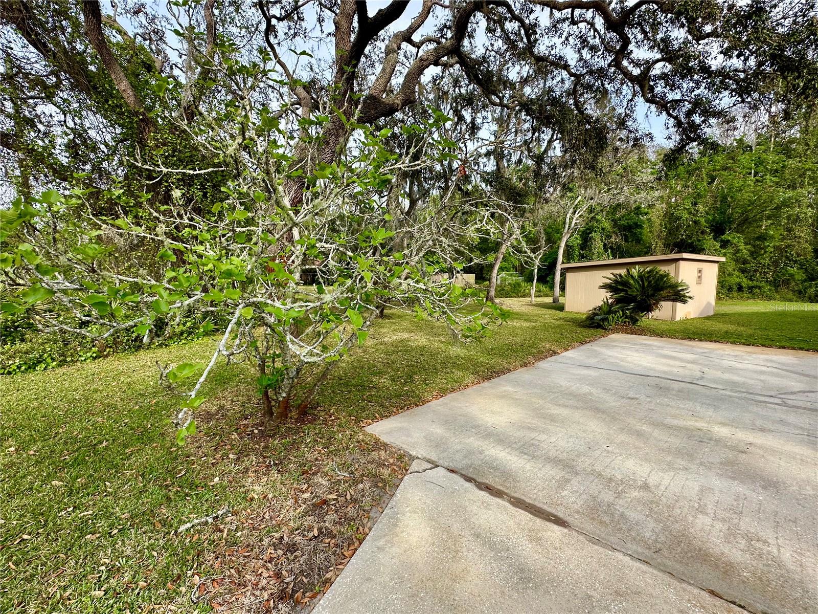 Image 55 of 68 For 10206 Lakeview Drive
