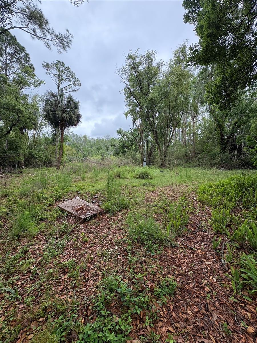 Details for 7408 Tom Drive, LAND O LAKES, FL 34638