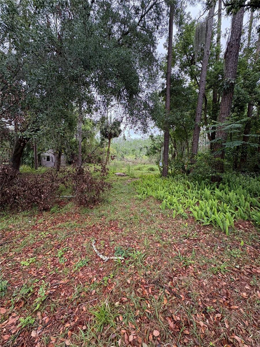 Image 11 of 31 For 7408 Tom Drive