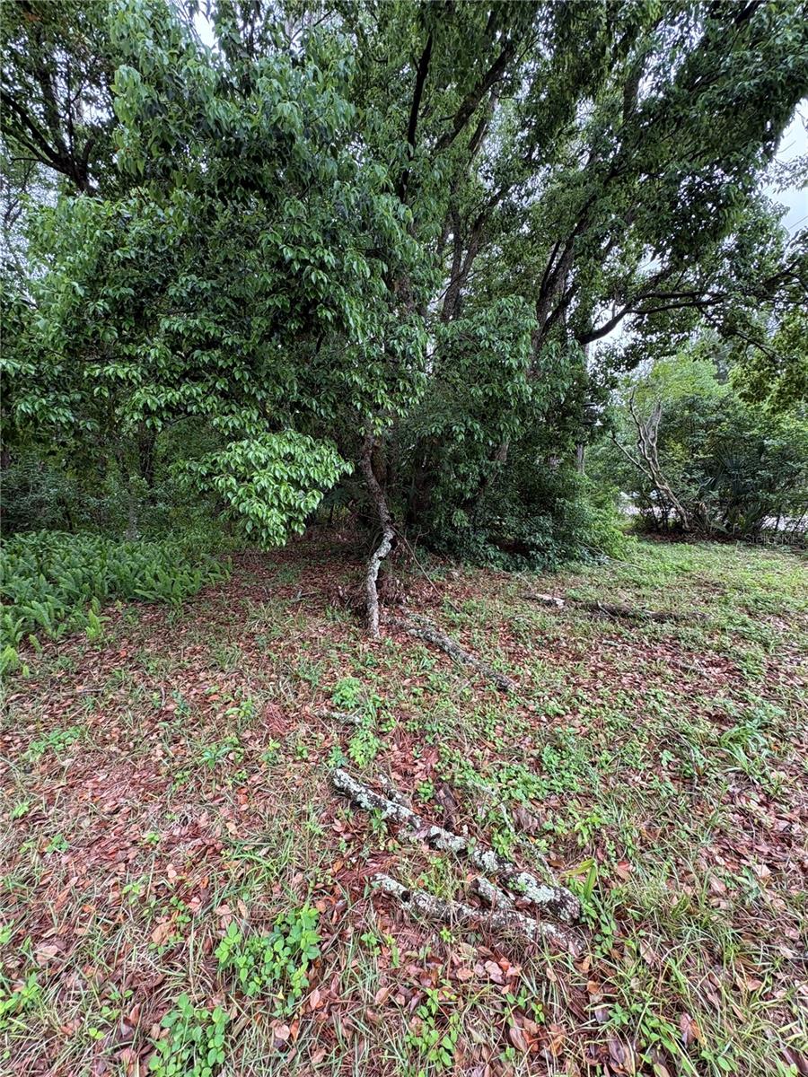 Image 13 of 31 For 7408 Tom Drive