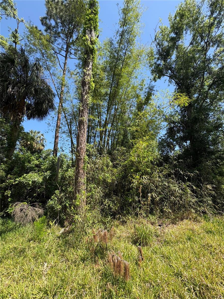 Image 15 of 31 For 7408 Tom Drive