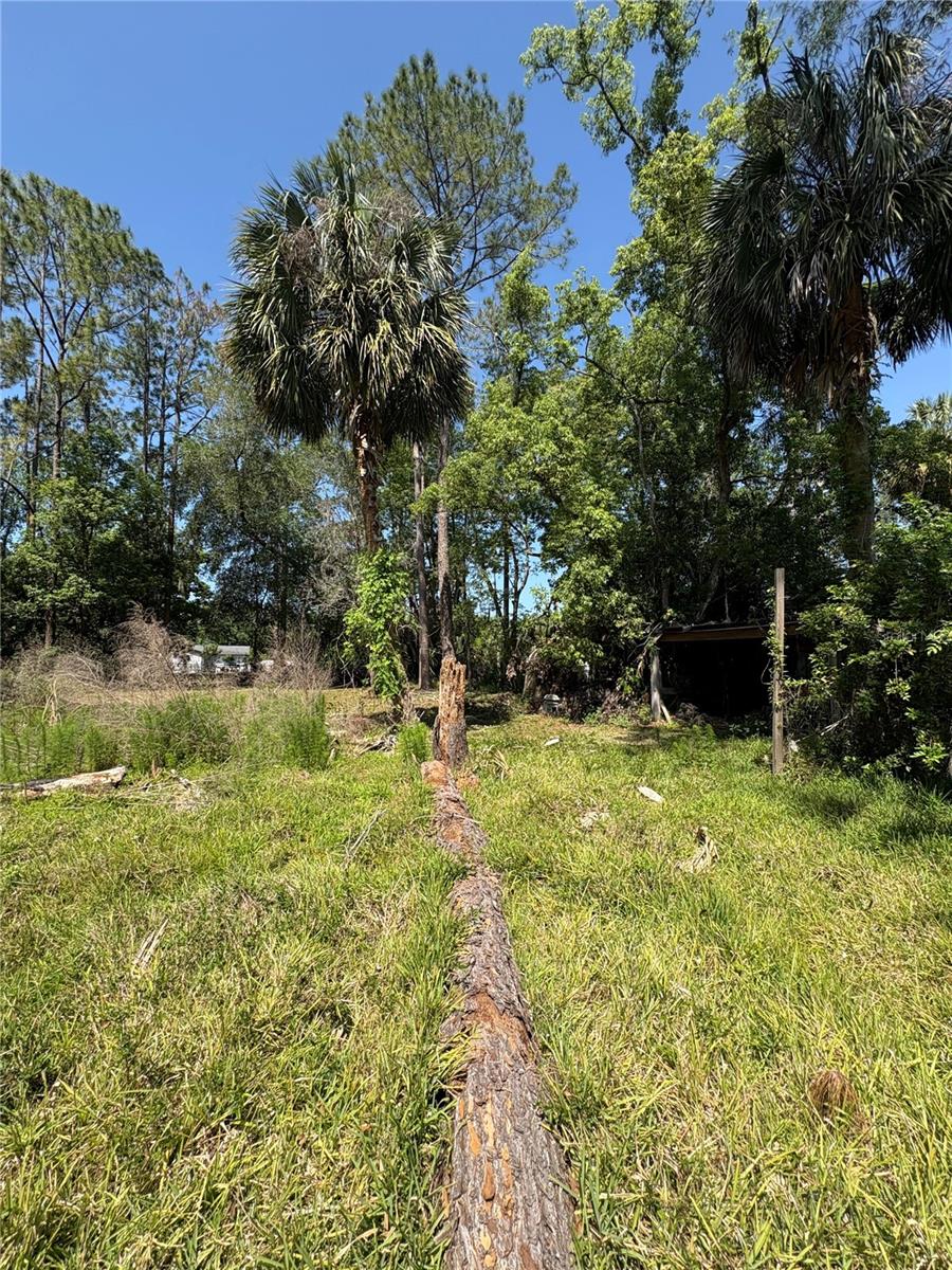 Image 16 of 31 For 7408 Tom Drive