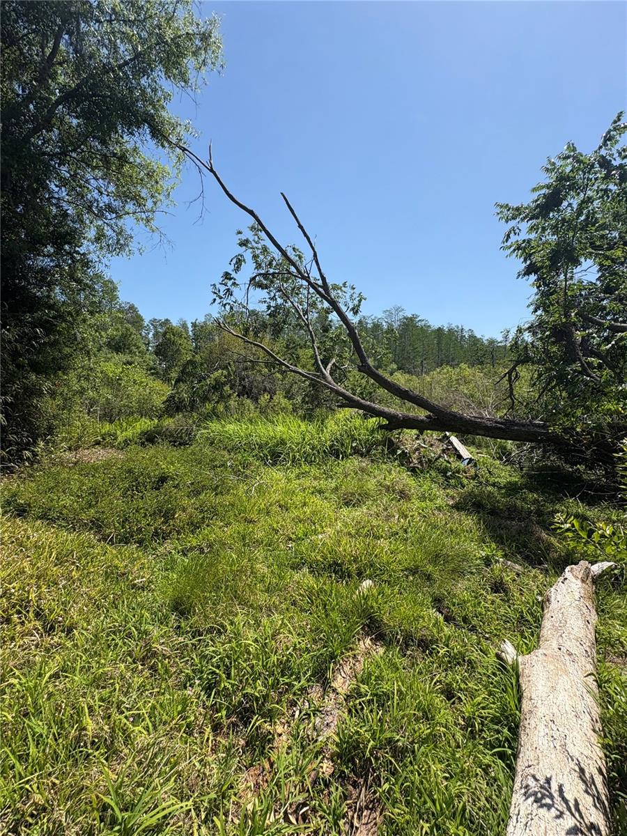 Image 17 of 31 For 7408 Tom Drive