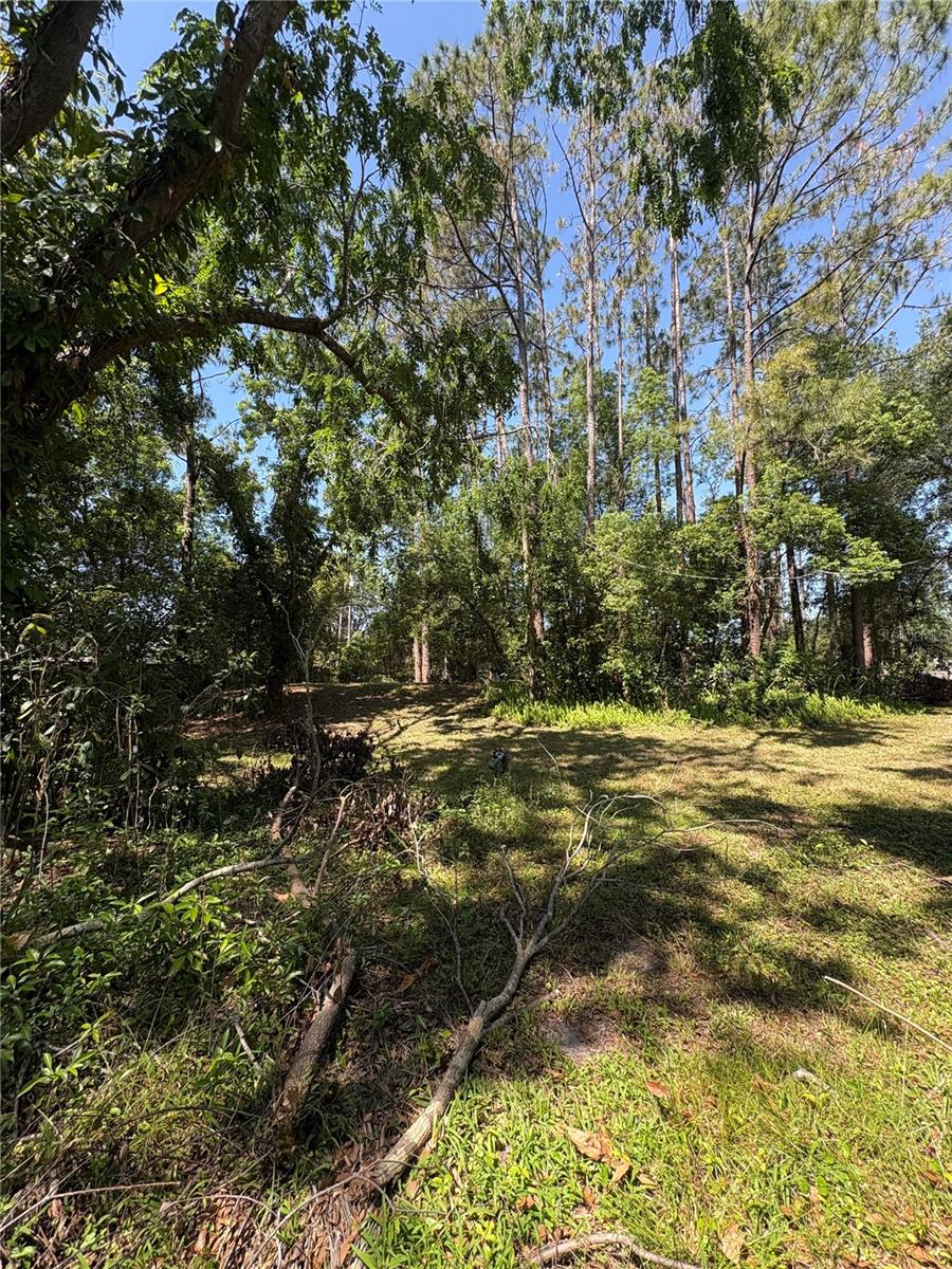 Image 19 of 31 For 7408 Tom Drive