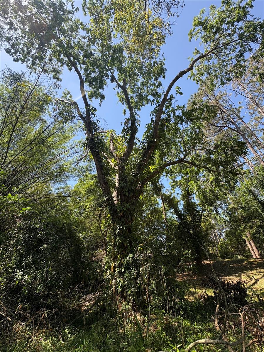 Image 20 of 31 For 7408 Tom Drive