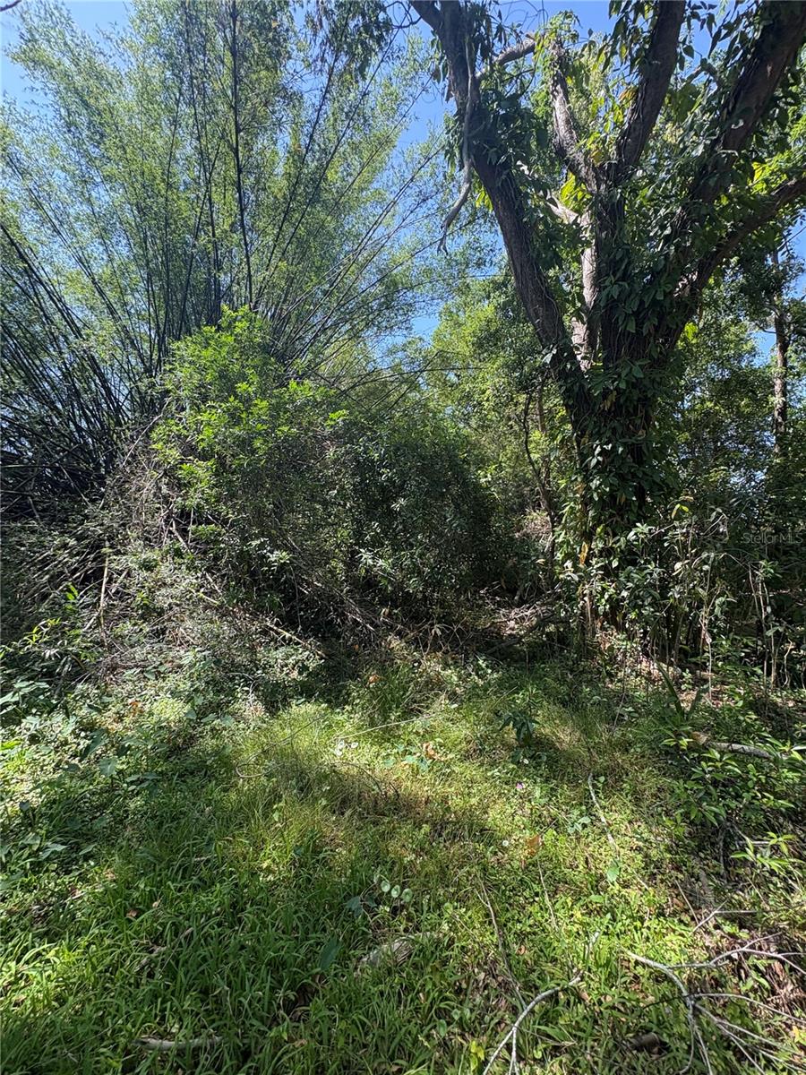 Image 21 of 31 For 7408 Tom Drive