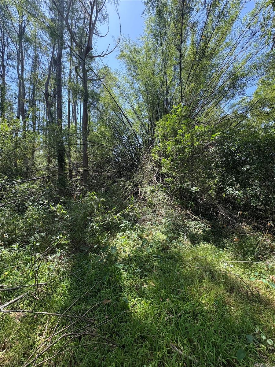 Image 22 of 31 For 7408 Tom Drive