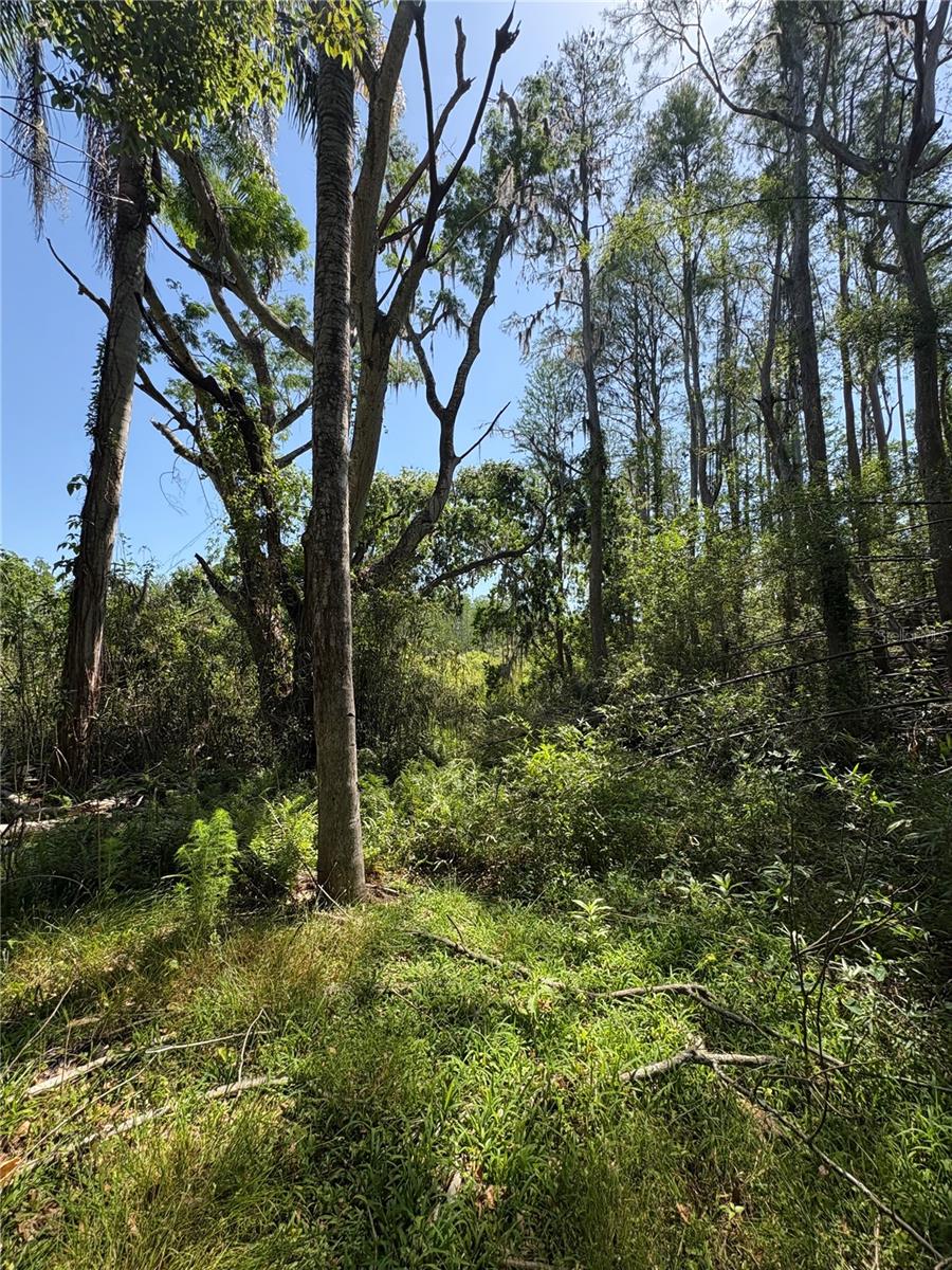 Image 23 of 31 For 7408 Tom Drive