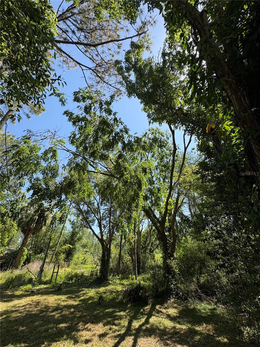 Image 25 of 31 For 7408 Tom Drive