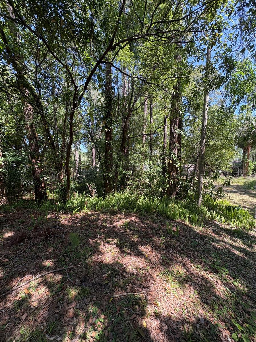 Image 28 of 31 For 7408 Tom Drive