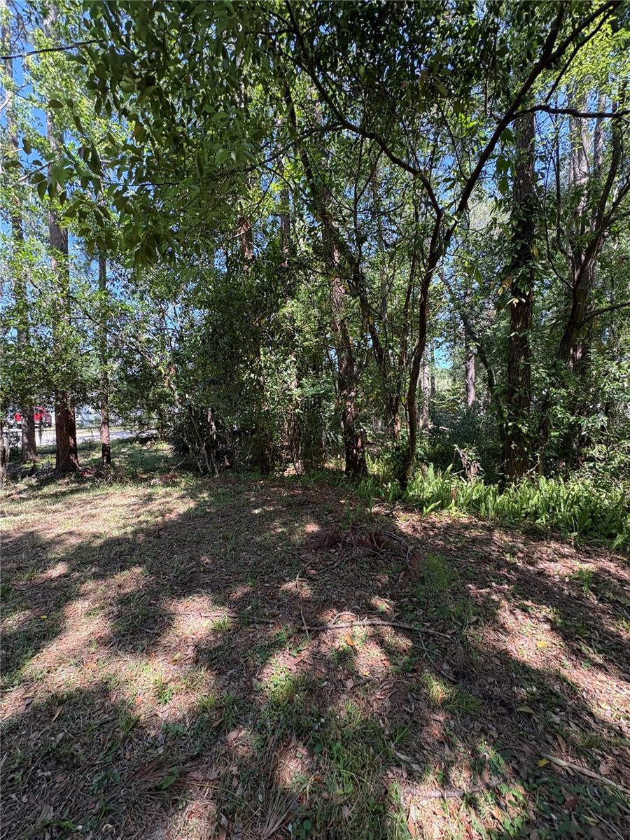 Image 29 of 31 For 7408 Tom Drive