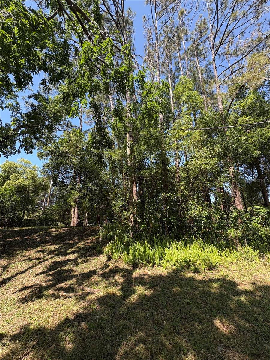 Image 31 of 31 For 7408 Tom Drive