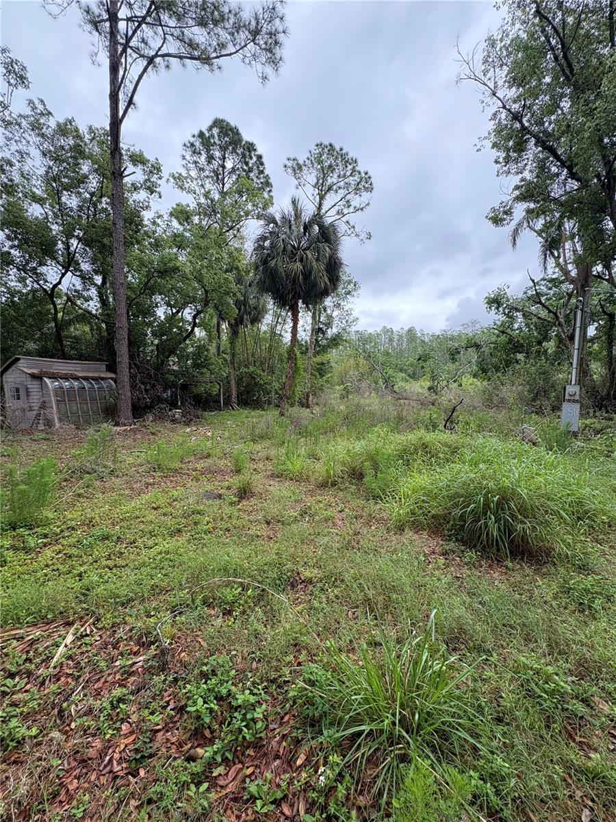 Image 7 of 31 For 7408 Tom Drive