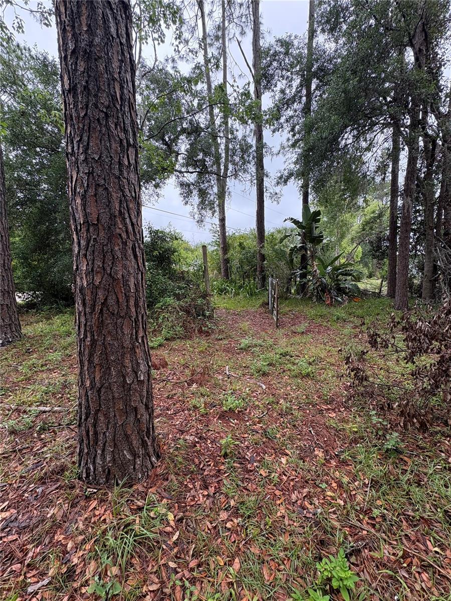 Image 9 of 31 For 7408 Tom Drive