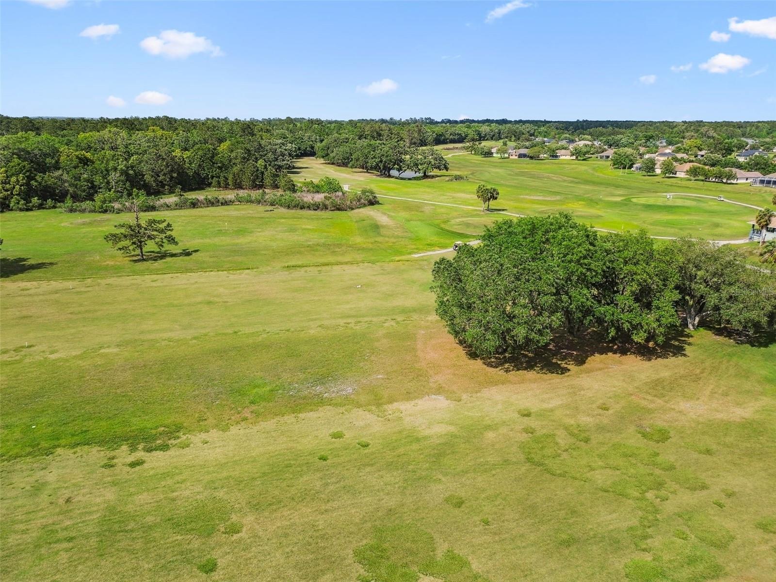 Image 39 of 44 For 17425 Eagle Trace Drive