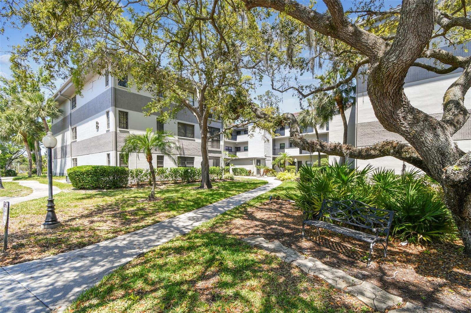 Image 46 of 48 For 2650 Countryside Boulevard B-110