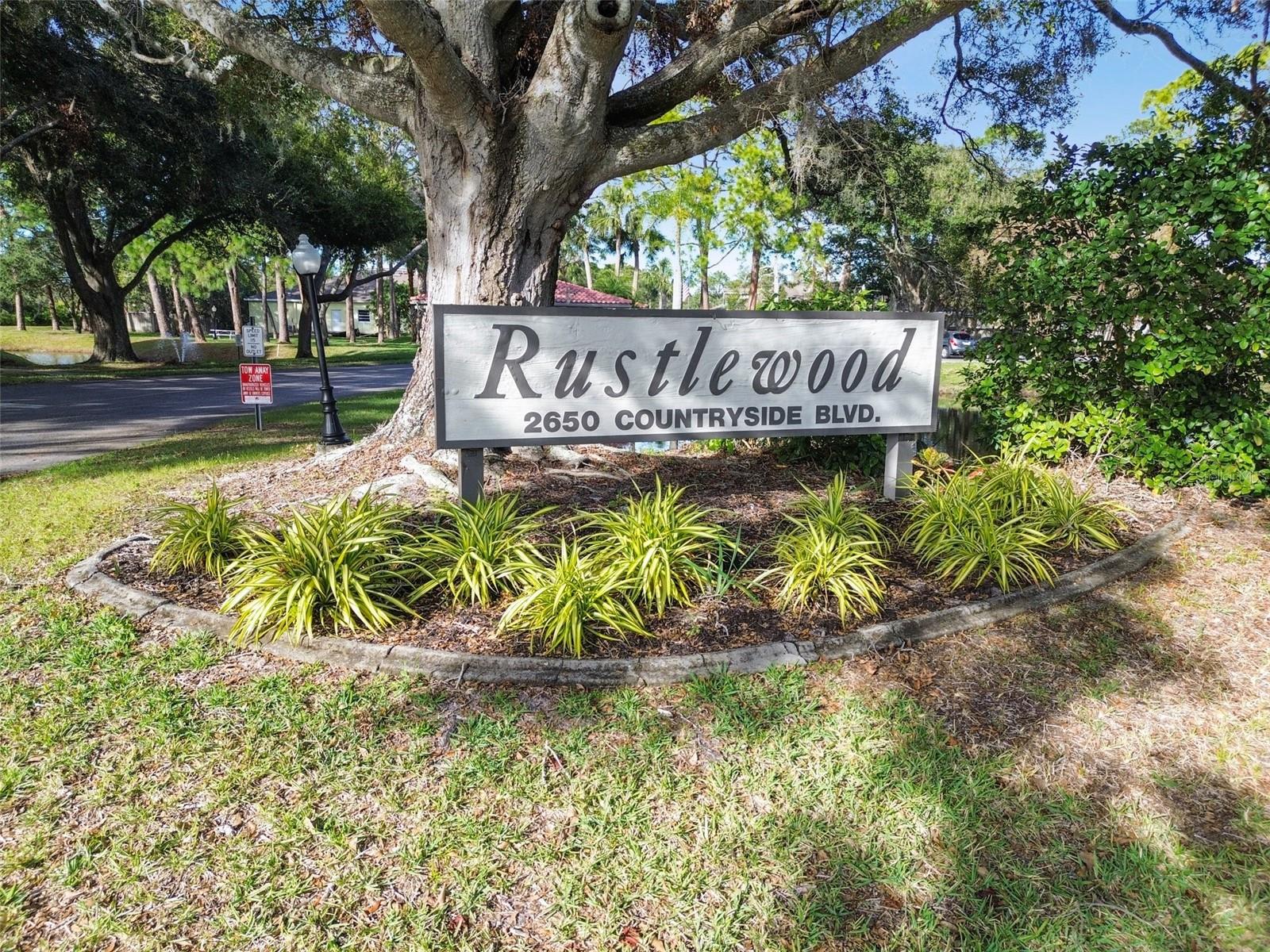 Image 47 of 48 For 2650 Countryside Boulevard B-110