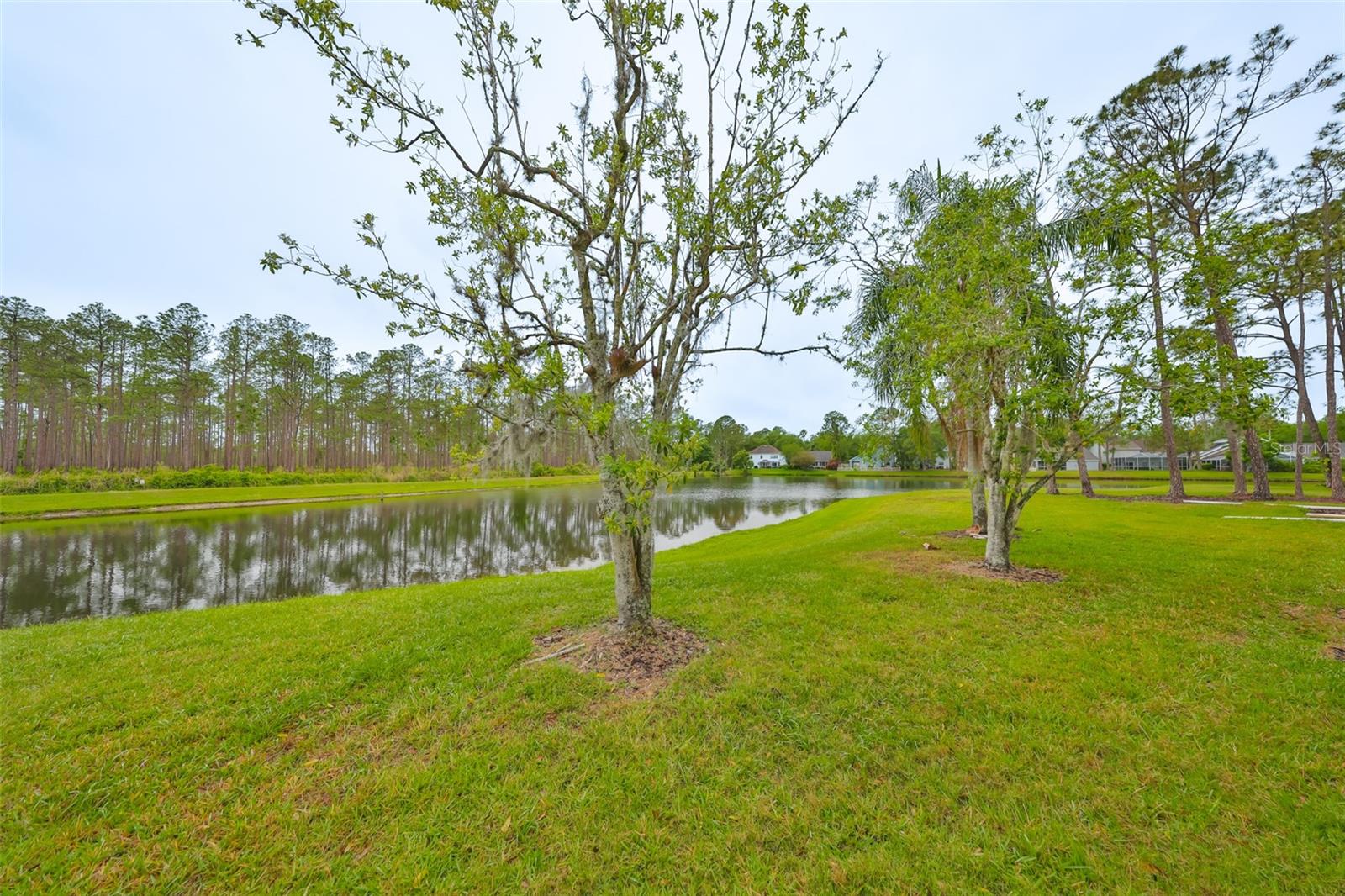 Image 36 of 36 For 9481 Highland Oak Drive 1206