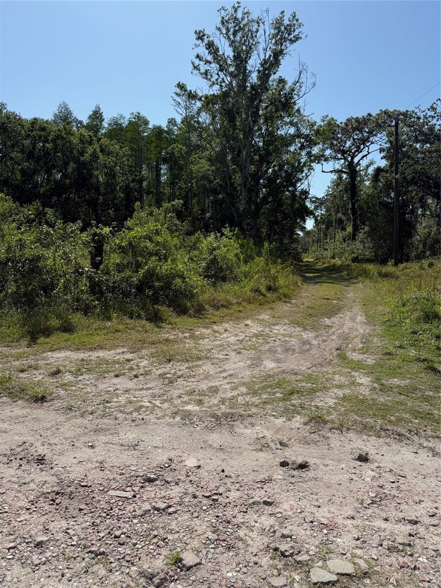 Listing photo id 1 for Elza Street