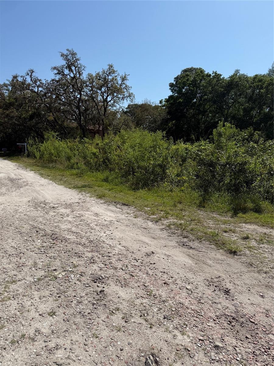 Listing photo id 2 for Elza Street
