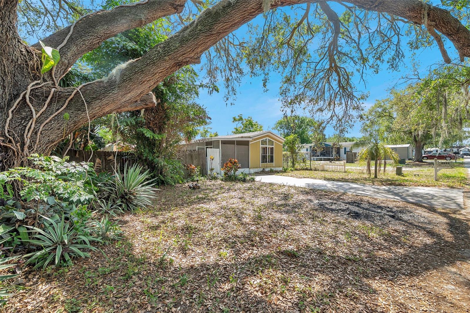 Listing photo id 0 for 8844 Mike Street