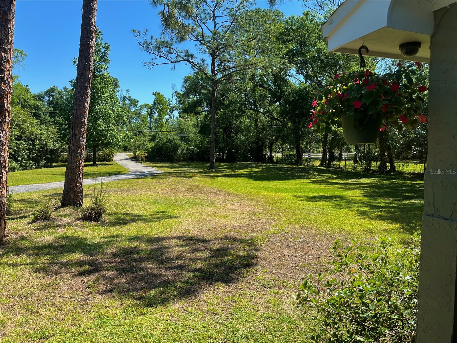 Image 61 of 62 For 4310 Lithia Pinecrest Road
