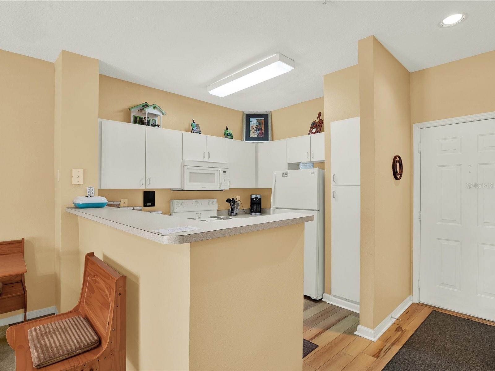 Listing photo id 6 for 1910 Palm Avenue 11216