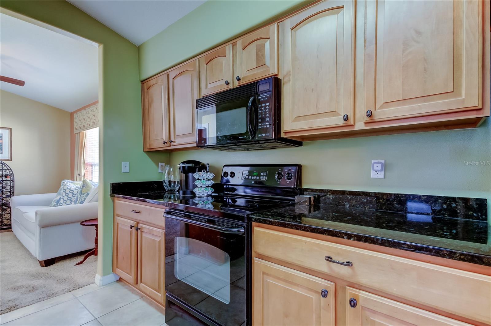 Image 22 of 49 For 10103 Old Tampa Bay Drive