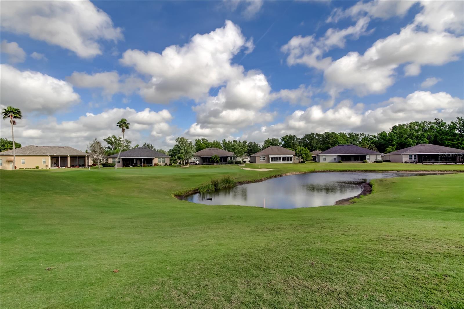 Image 47 of 49 For 10103 Old Tampa Bay Drive