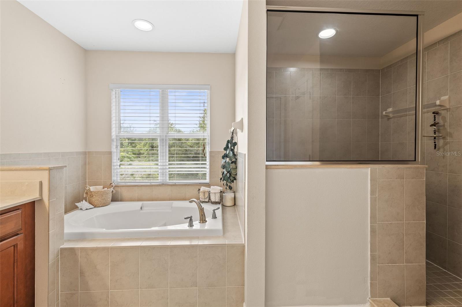 Image 19 of 33 For 18243 Cypress Bay Parkway
