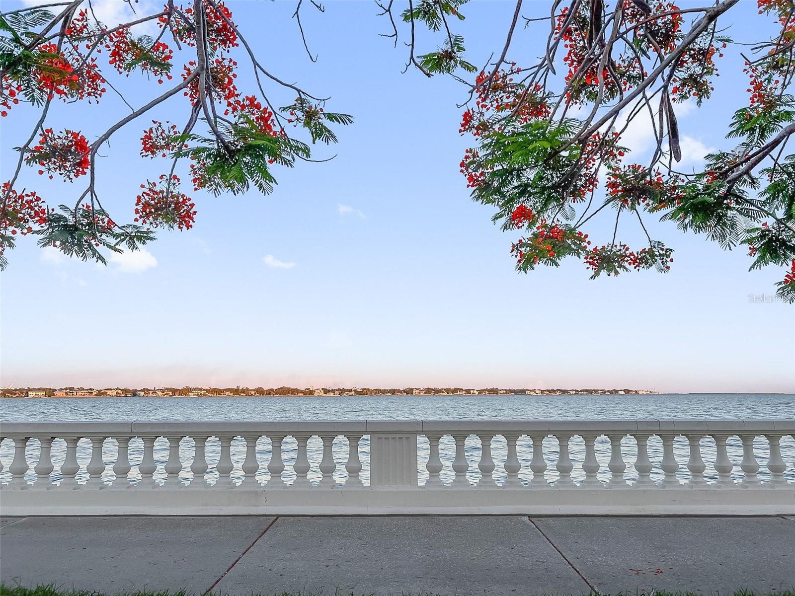 Image 20 of 21 For 2109 Bayshore Boulevard 909