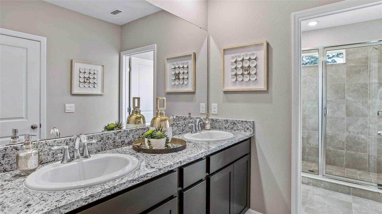 Image 10 of 17 For 11393 Velvet Apricot Drive