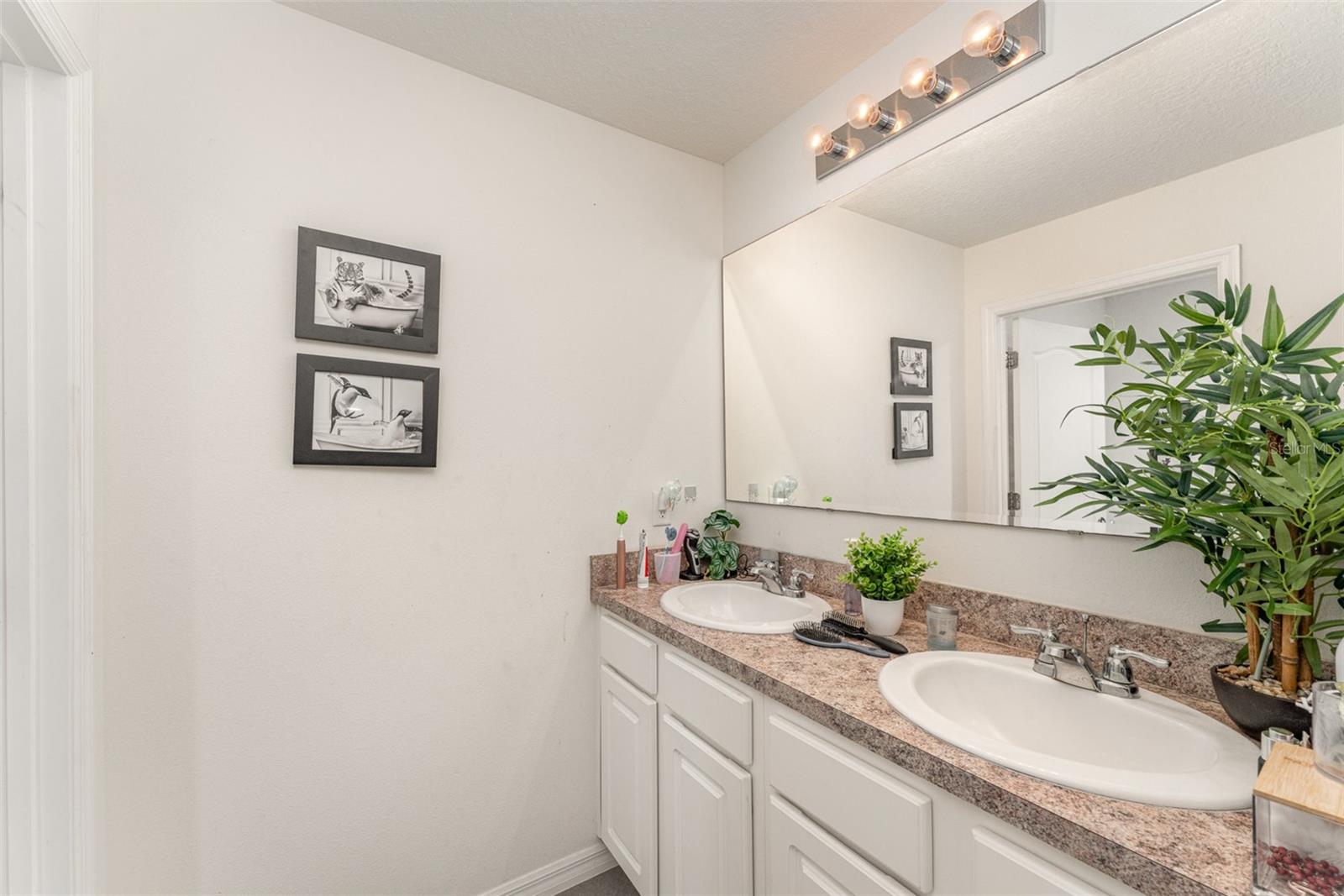 Image 34 of 41 For 5597 Forest Ridge Drive