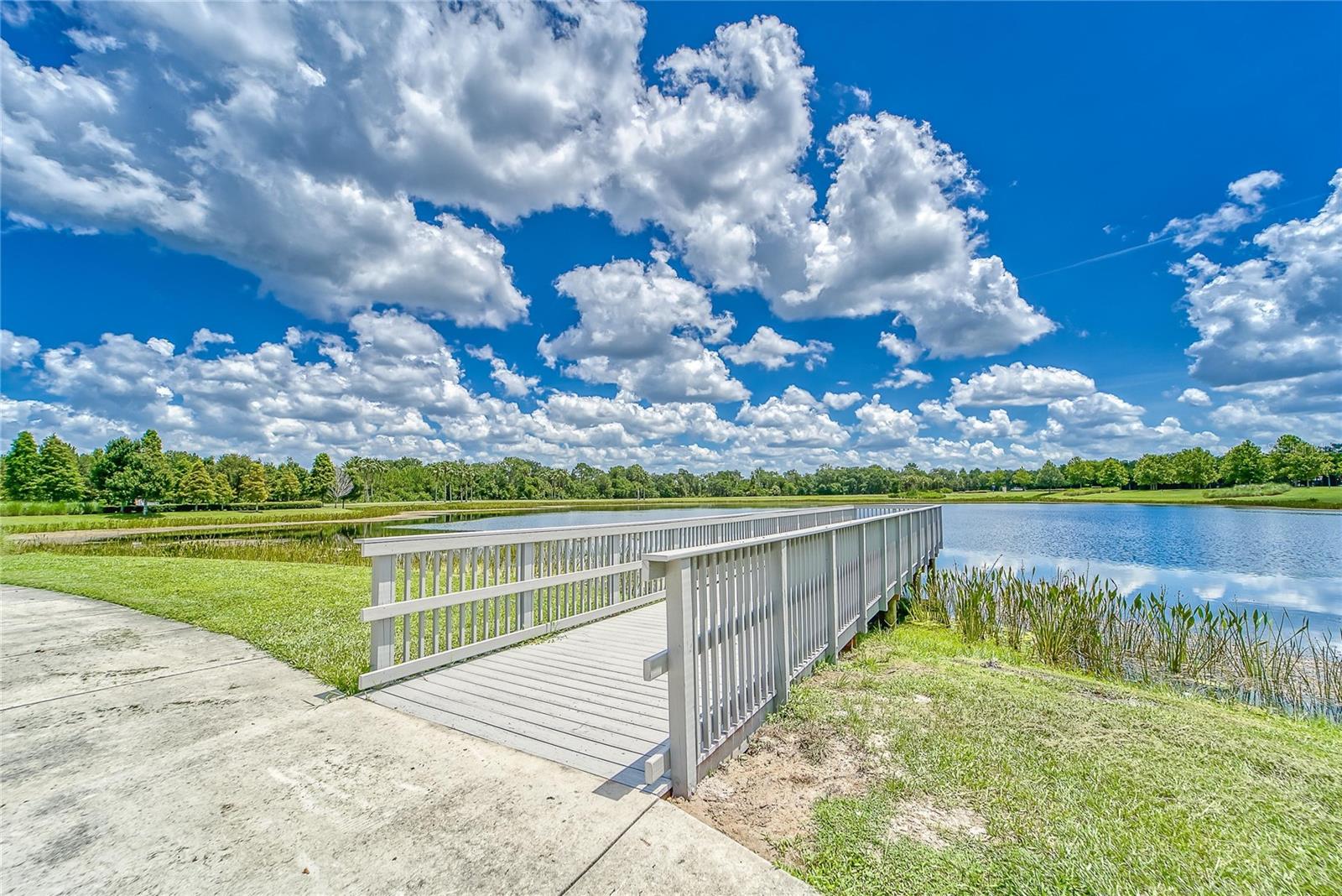 Image 76 of 91 For 7417 Sungold Meadow Court