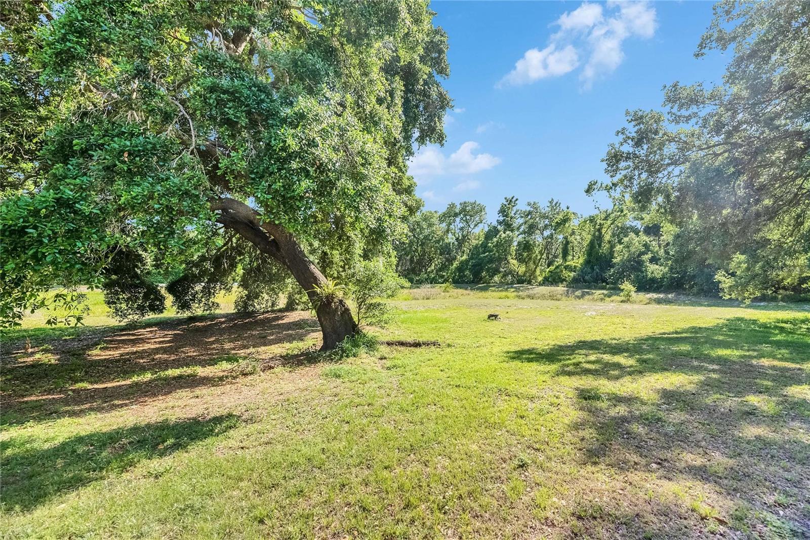 Image 39 of 51 For 2362 Lake Woodberry Circle