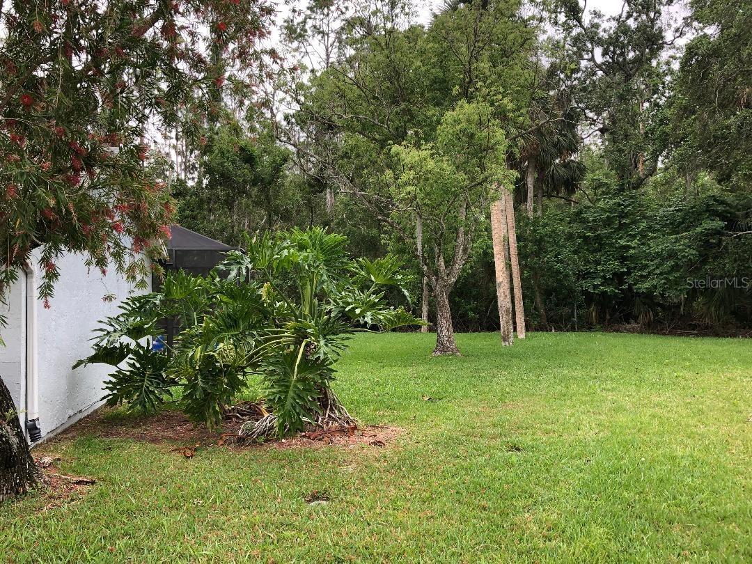 Image 15 of 18 For 818 Satinleaf Avenue