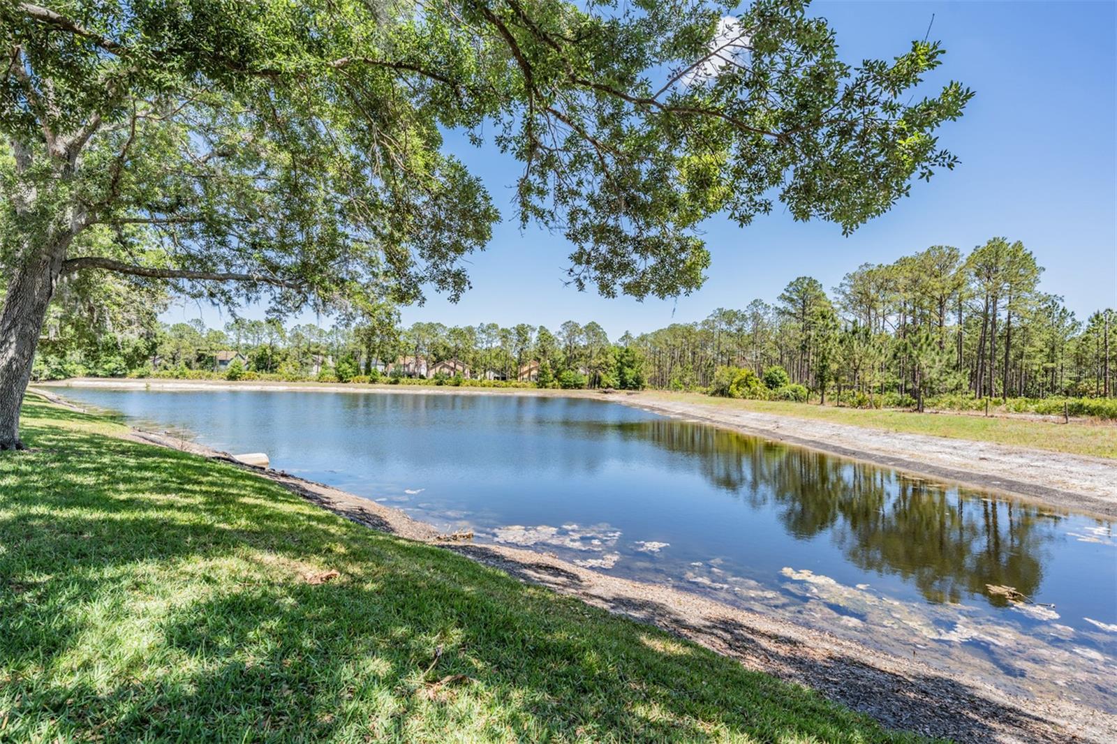 Image 42 of 61 For 17537 Fairmeadow Drive
