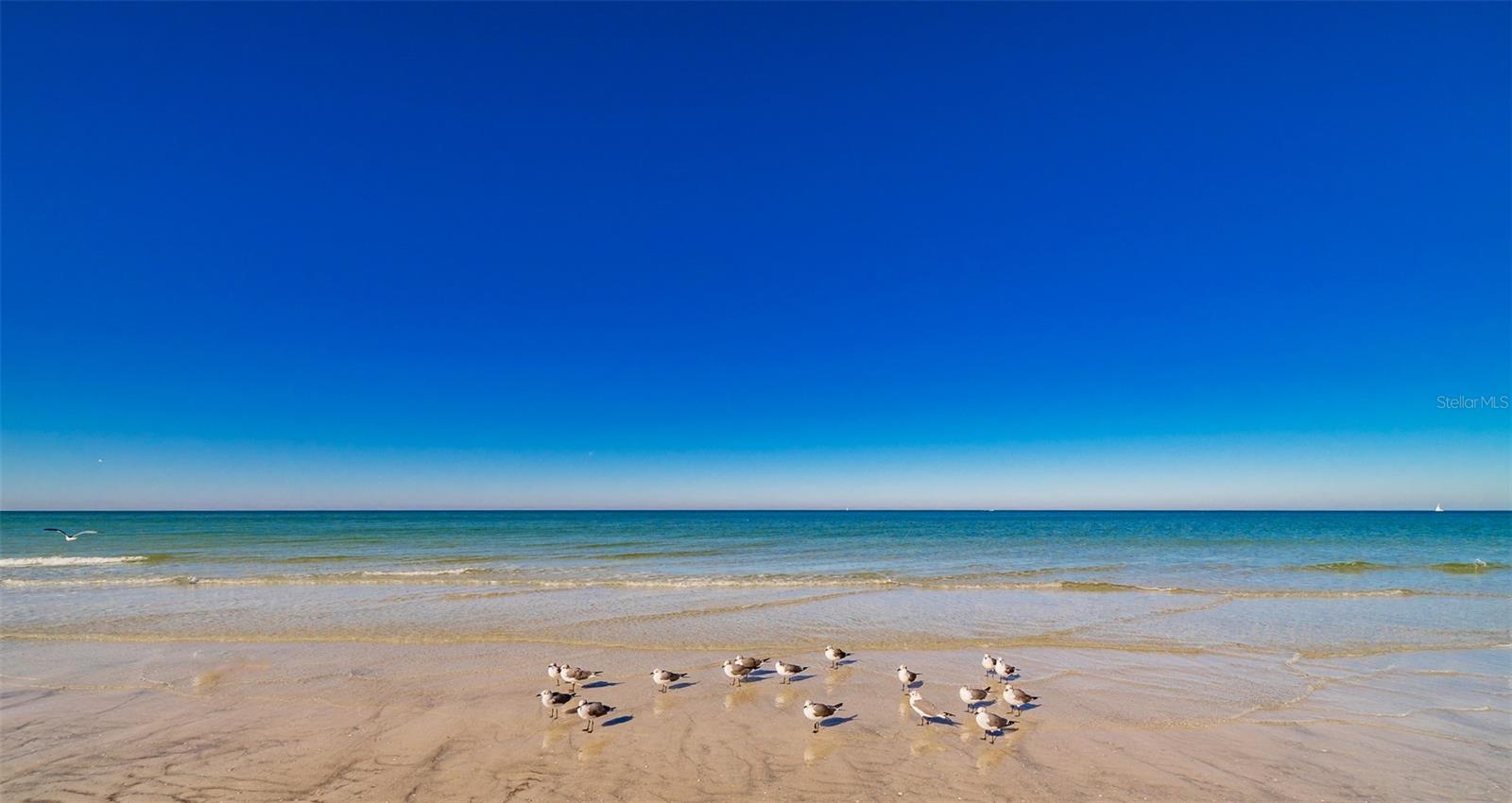 Listing photo id 28 for 1460 Gulf Boulevard 406