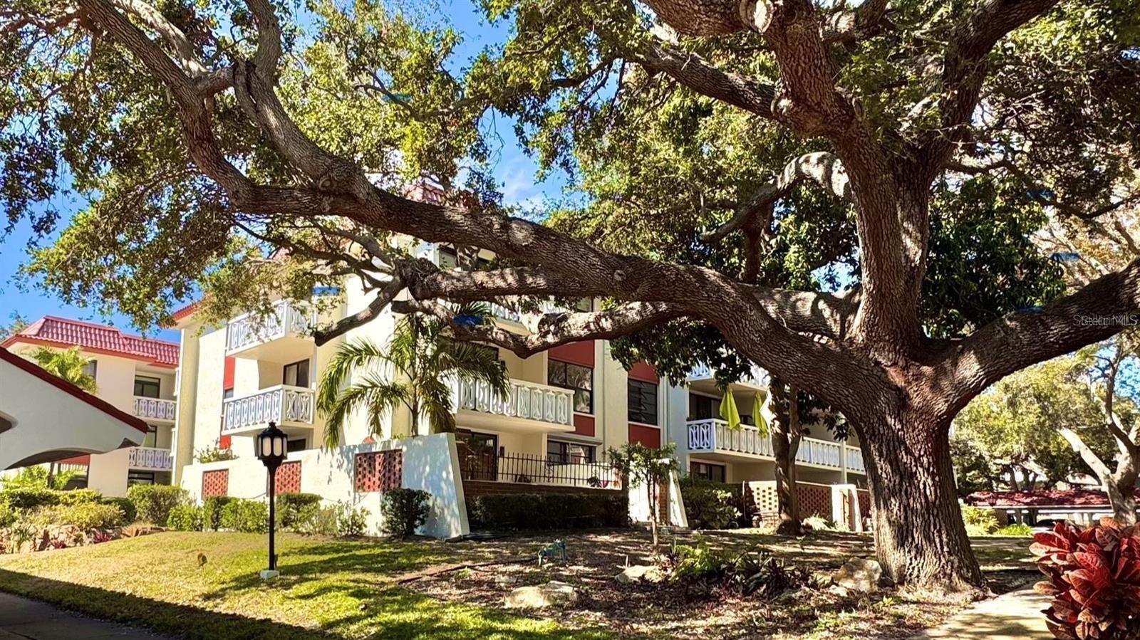 Details for 2612 Pearce Drive 211, CLEARWATER, FL 33764