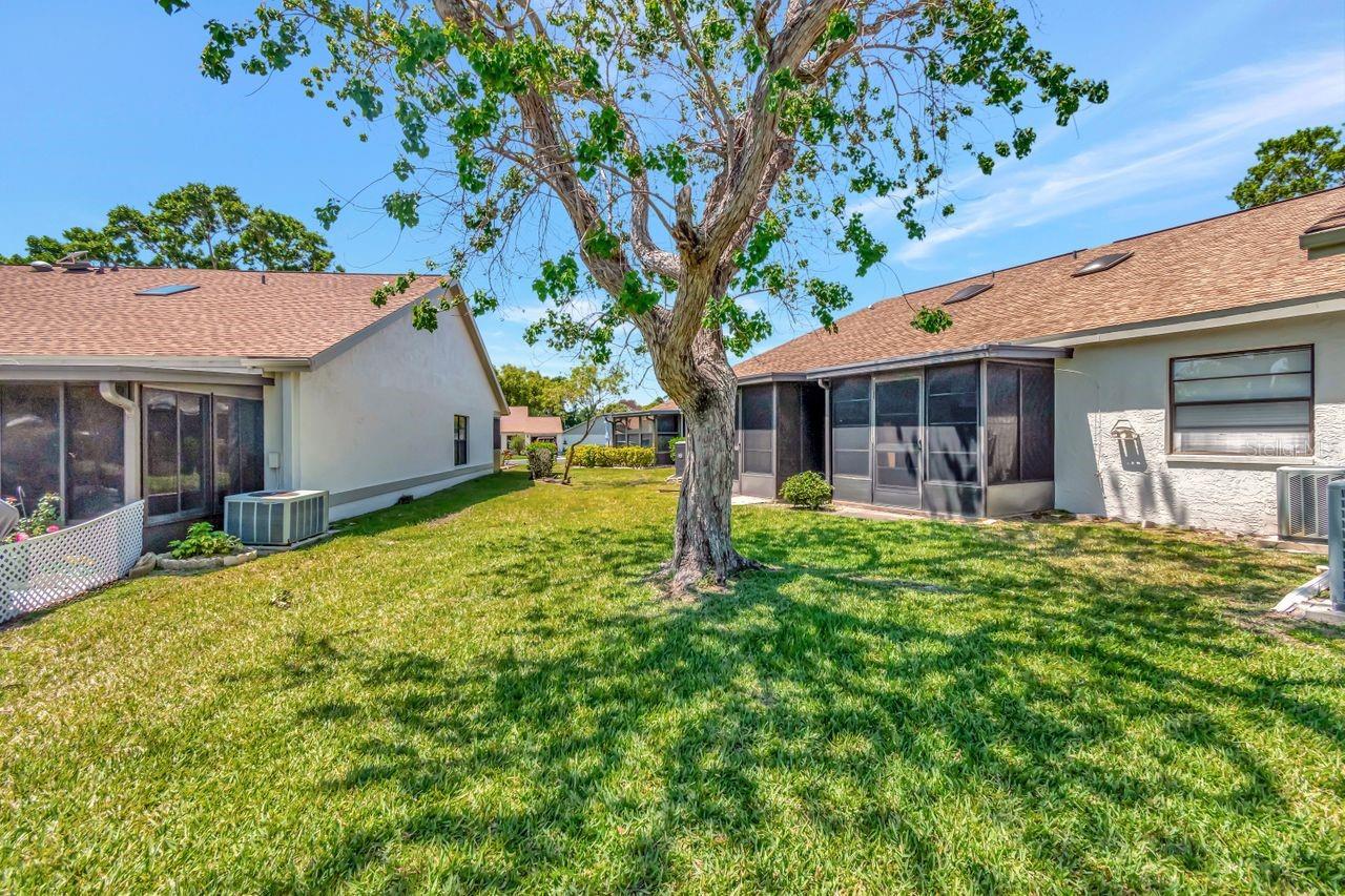 Image 37 of 37 For 8206 Leafy Court