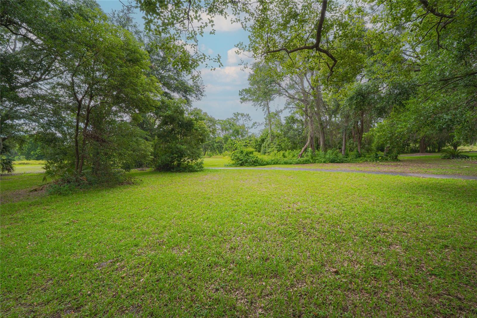 Listing photo id 29 for 34527 Cedarfield Drive