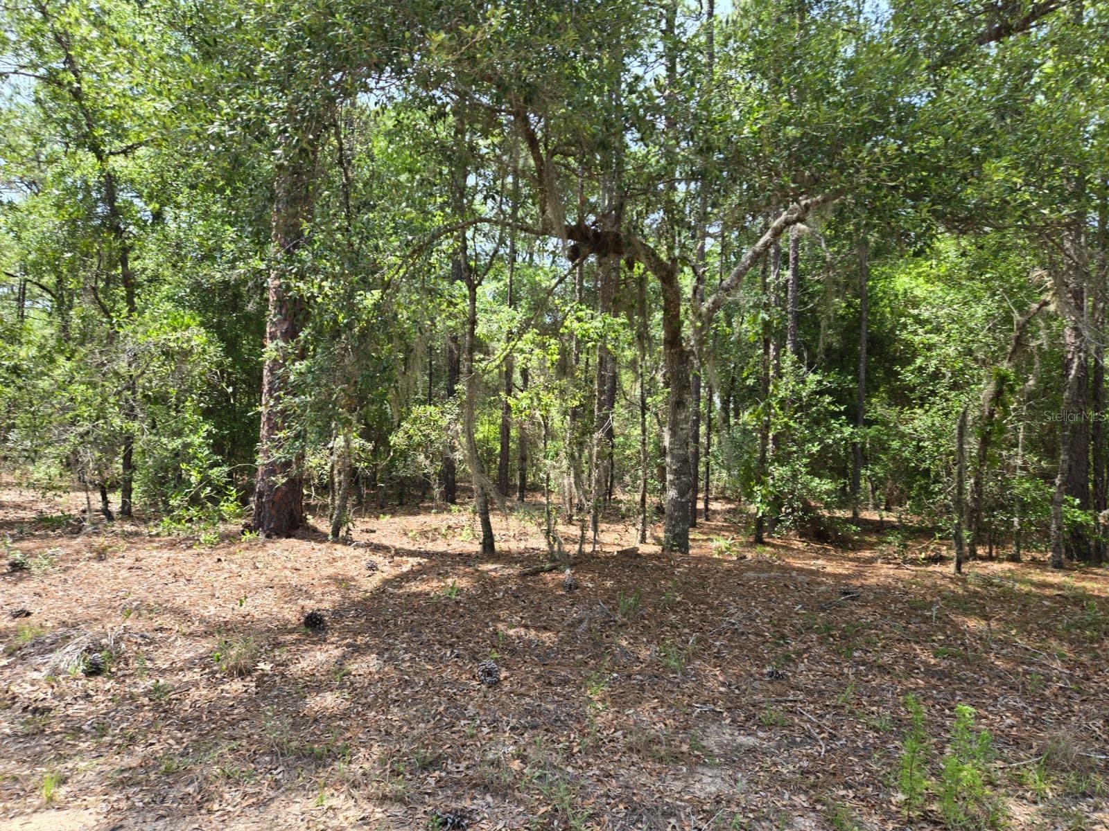 Image 4 of 4 For 10804 N Adler Dr