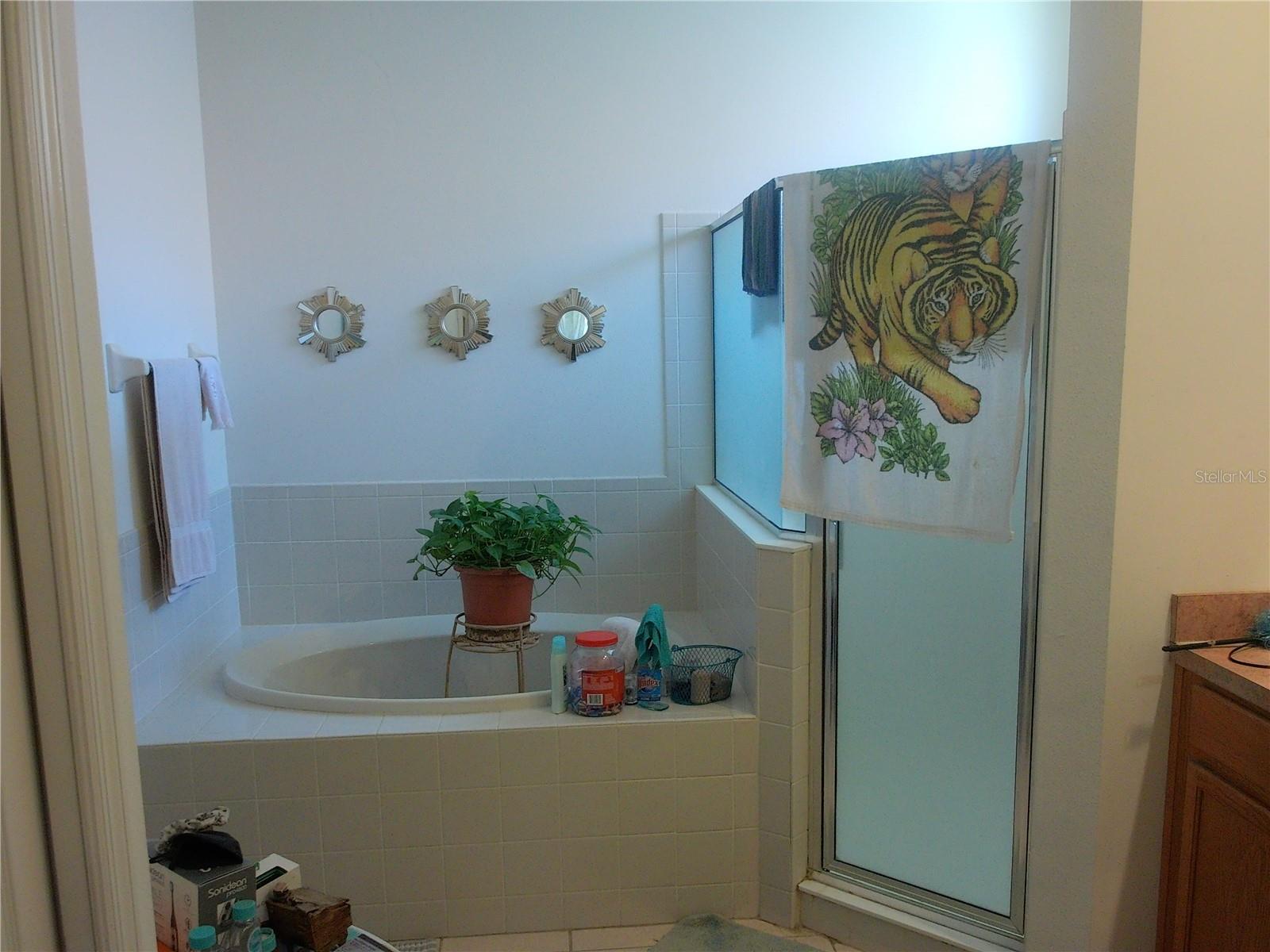 Image 34 of 37 For 6130 Whimbrelwood Drive