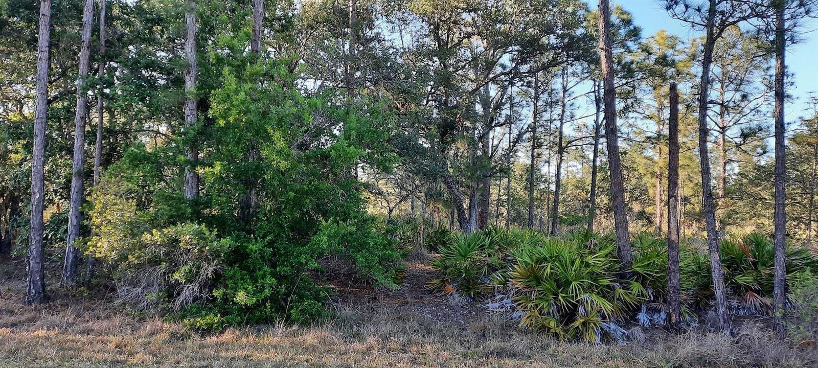 Details for 1012 Japonica Drive, INDIAN LAKE ESTATES, FL 33855