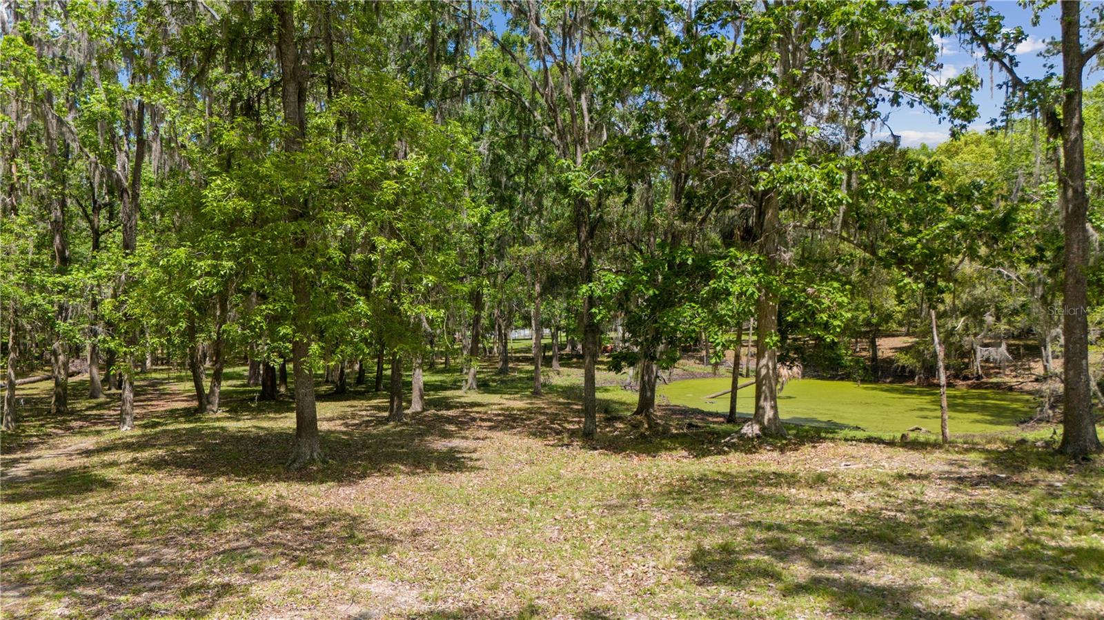 Image 37 of 49 For 12345 Citrus Way