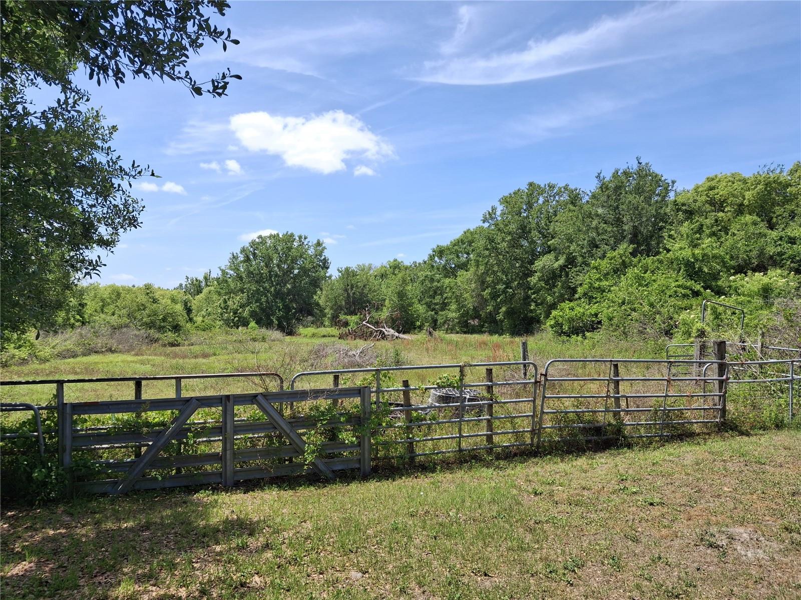 Image 18 of 36 For 30630 Tyndall Road