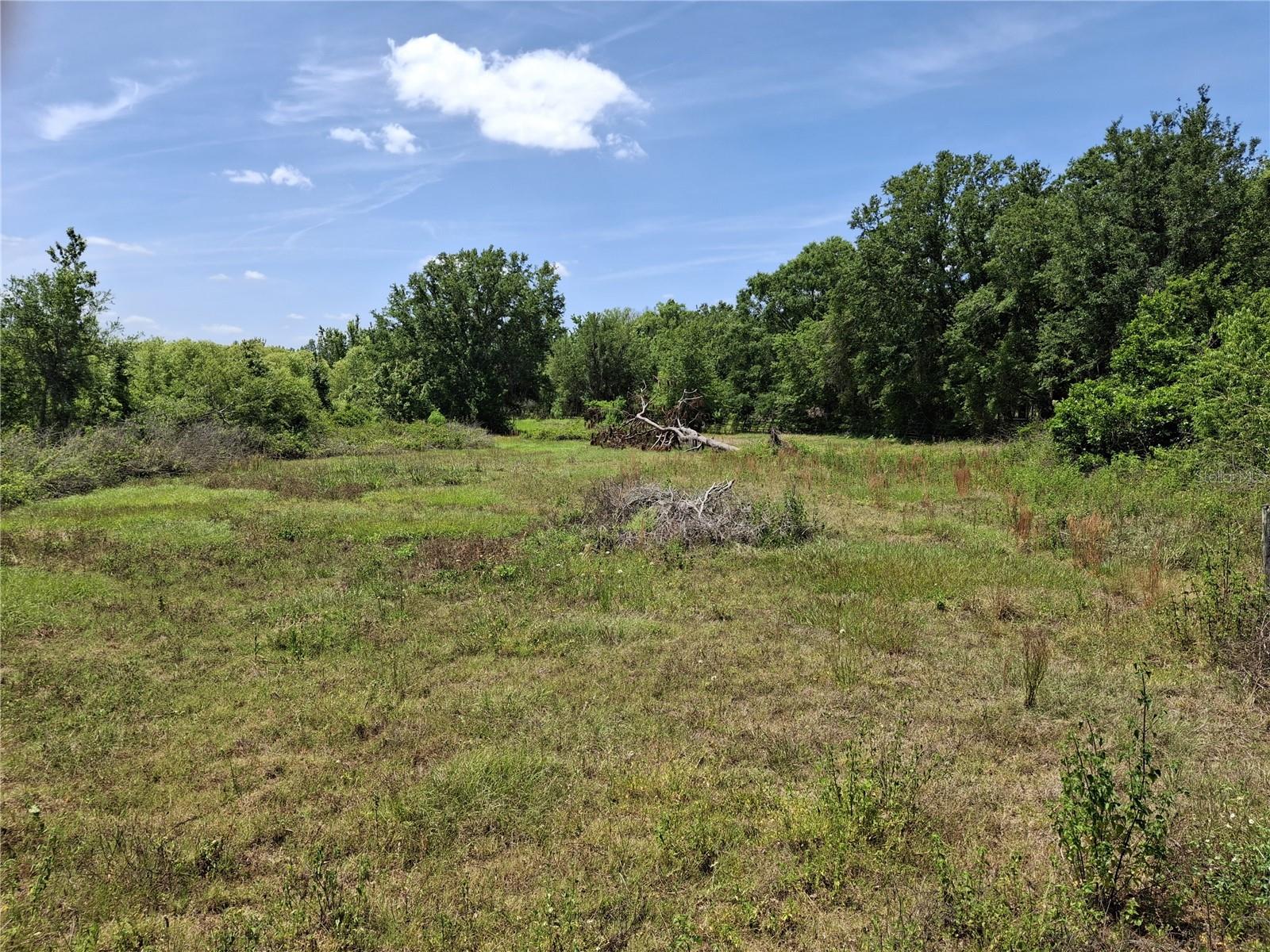 Image 20 of 36 For 30630 Tyndall Road